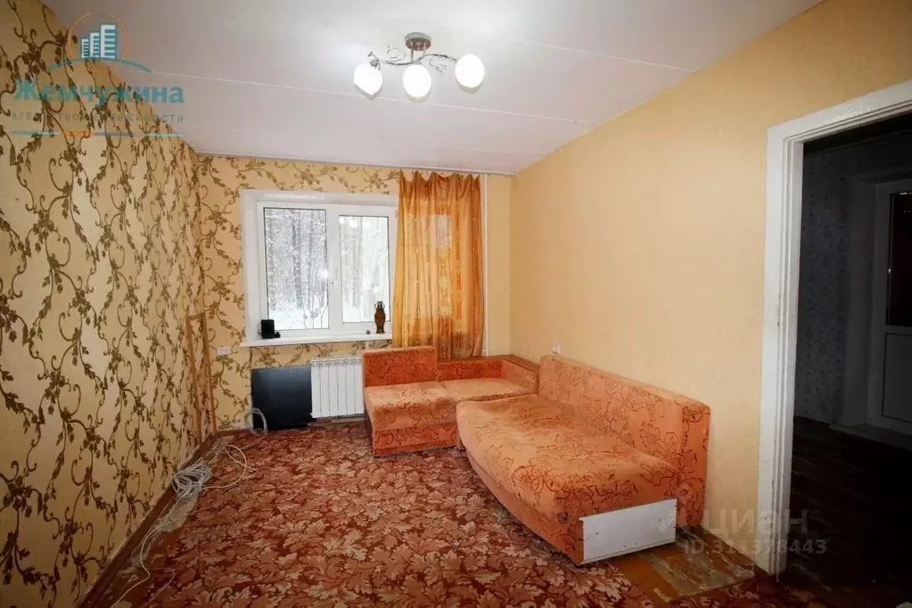 3-к кв. Ульяновская область, Димитровград ул. Курчатова, 10Б (51.6 м) - Фото 0