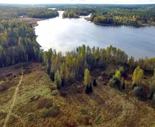 Участок в Ленинградская область, Приозерский район, Мельниковское ... - Фото 1