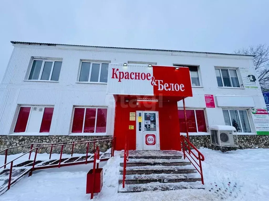 Помещение свободного назначения в Саратовская область, Базарный ... - Фото 2