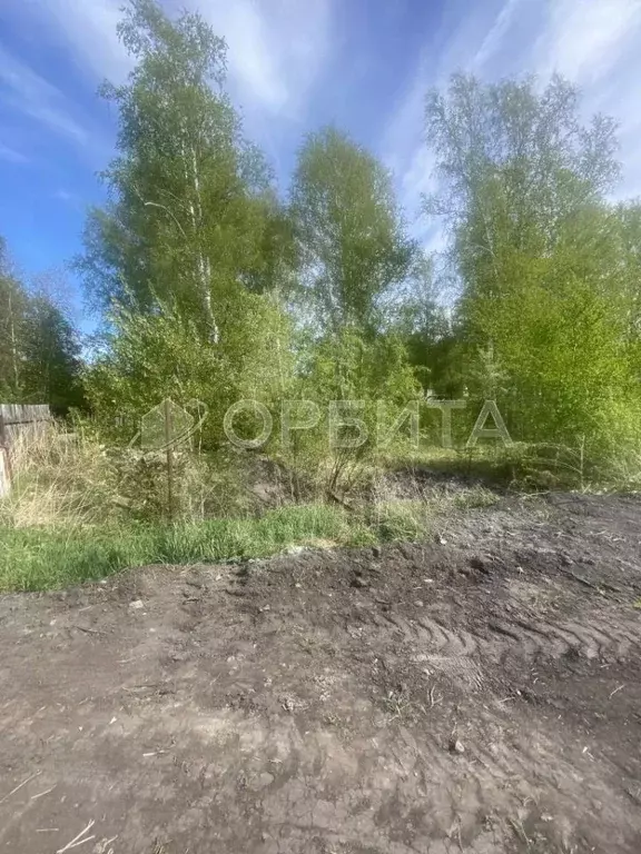 Участок в Тюменская область, Тюмень Надежда-2 СНТ, ул. Фруктовая, 21 ... - Фото 1