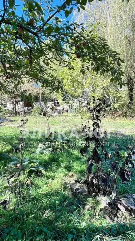 Участок в Краснодарский край, Туапсинский муниципальный округ, с. ... - Фото 1
