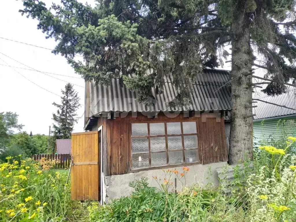 Дом в Новосибирская область, Искитим Цементник СНТ,  (24 м) - Фото 1