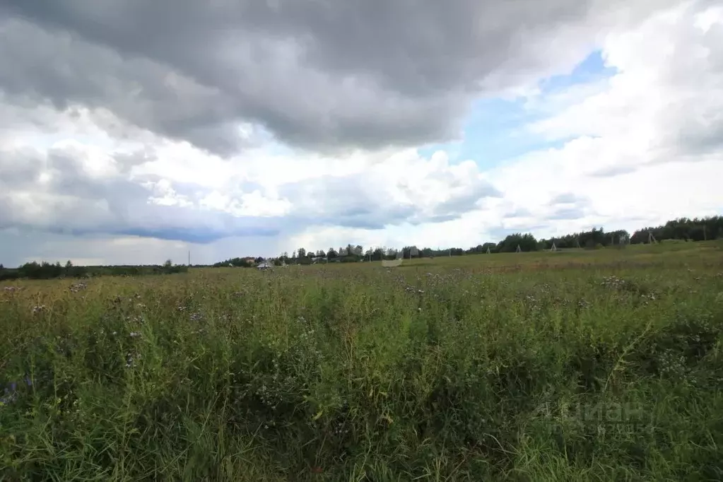 Участок в Вологодская область, Череповецкий район, Воскресенское ... - Фото 0