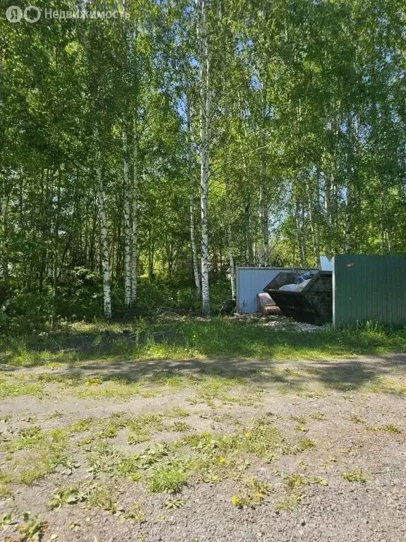 Участок в Московская область, Егорьевск муниципальный округ, д. Песье ... - Фото 1