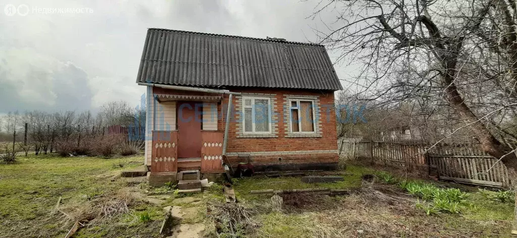 Дом в поселение Вороновское, село Свитино (58 м) - Фото 1