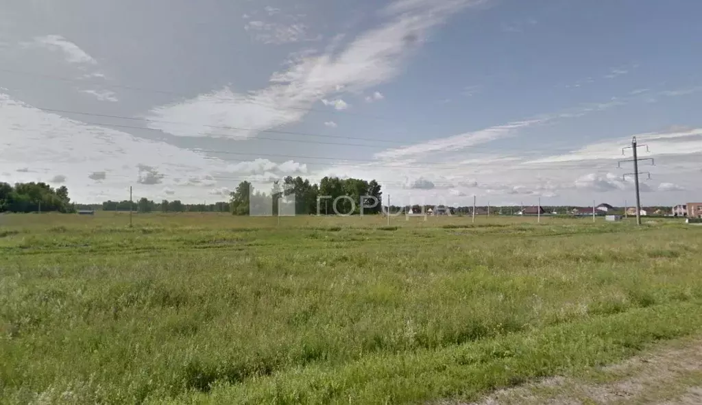 Участок в Новосибирская область, Новосибирский район, Березовский ... - Фото 0