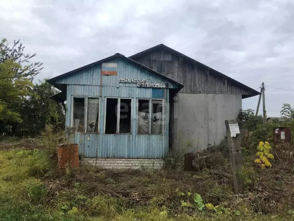 Участок в Верный Путь, садоводческое объединение Питомник (15 м) - Фото 2