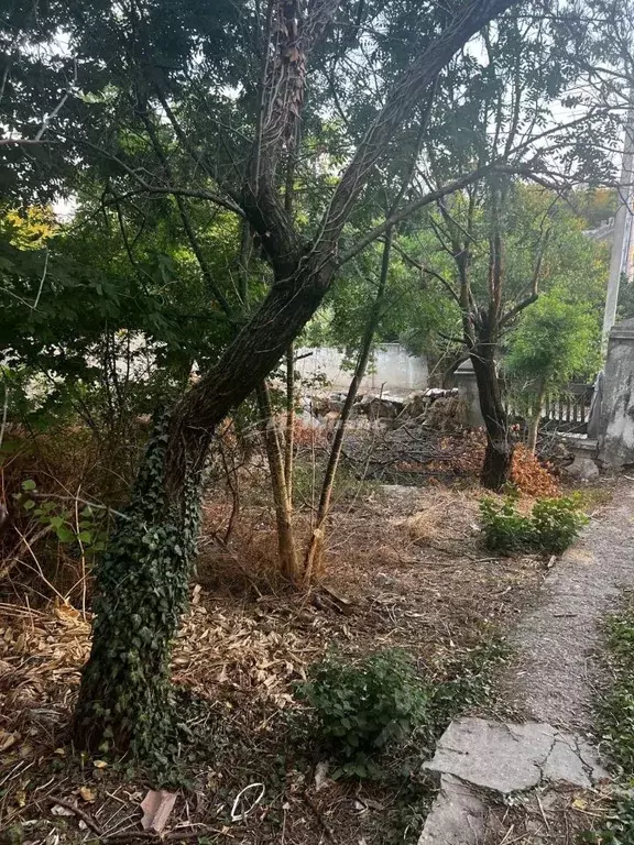 Участок в Крым, Симферополь ул. Альпинистов, 9 (6.0 сот.) - Фото 2