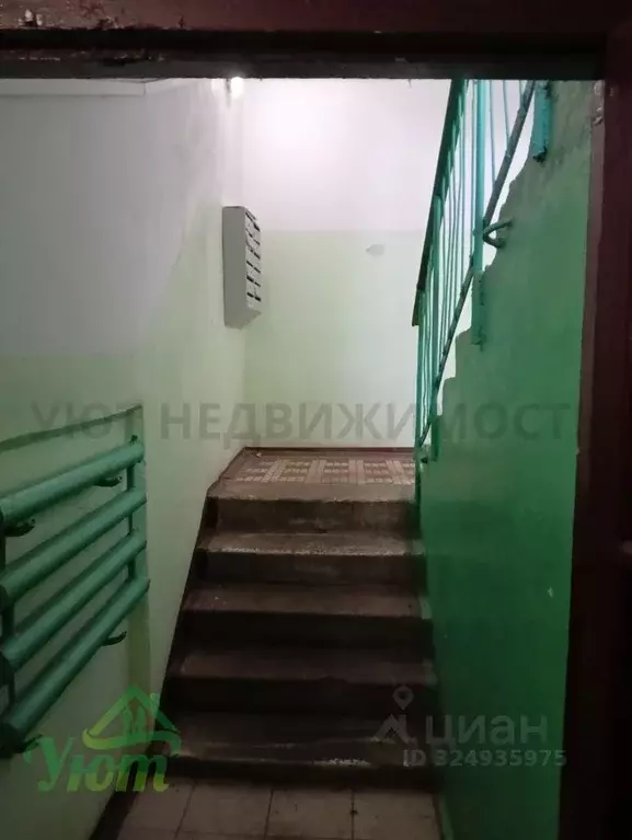 1-к кв. Московская область, Раменский муниципальный округ, Кратово пгт ... - Фото 1