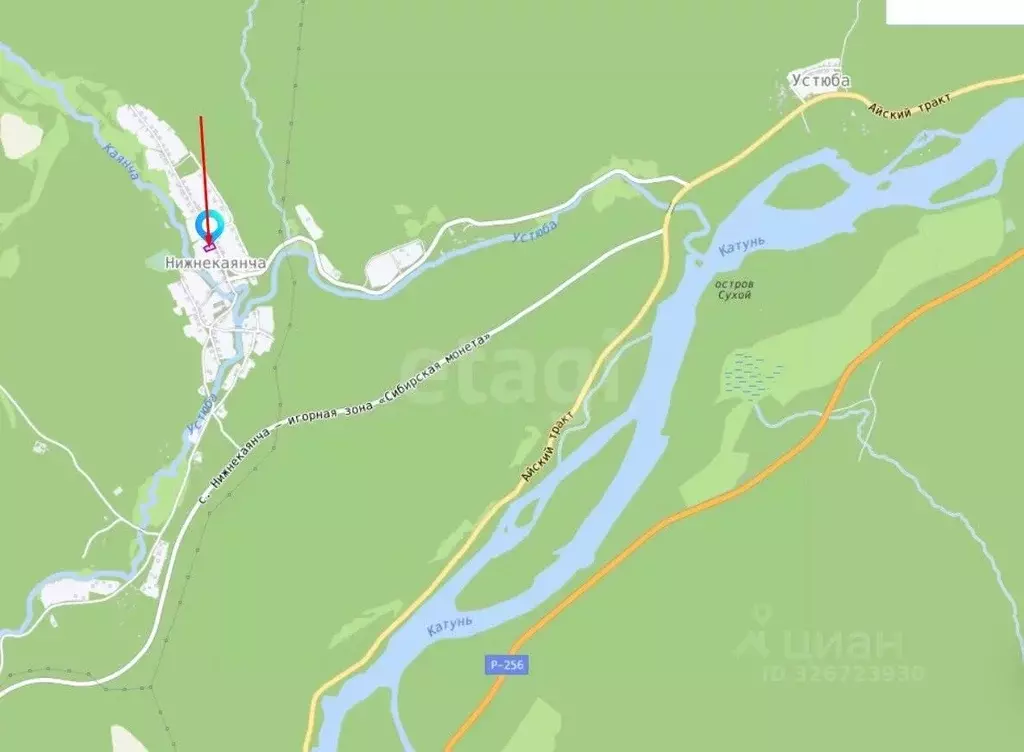 Участок в Алтайский край, Алтайский район, с. Нижнекаянча ул. ... - Фото 1