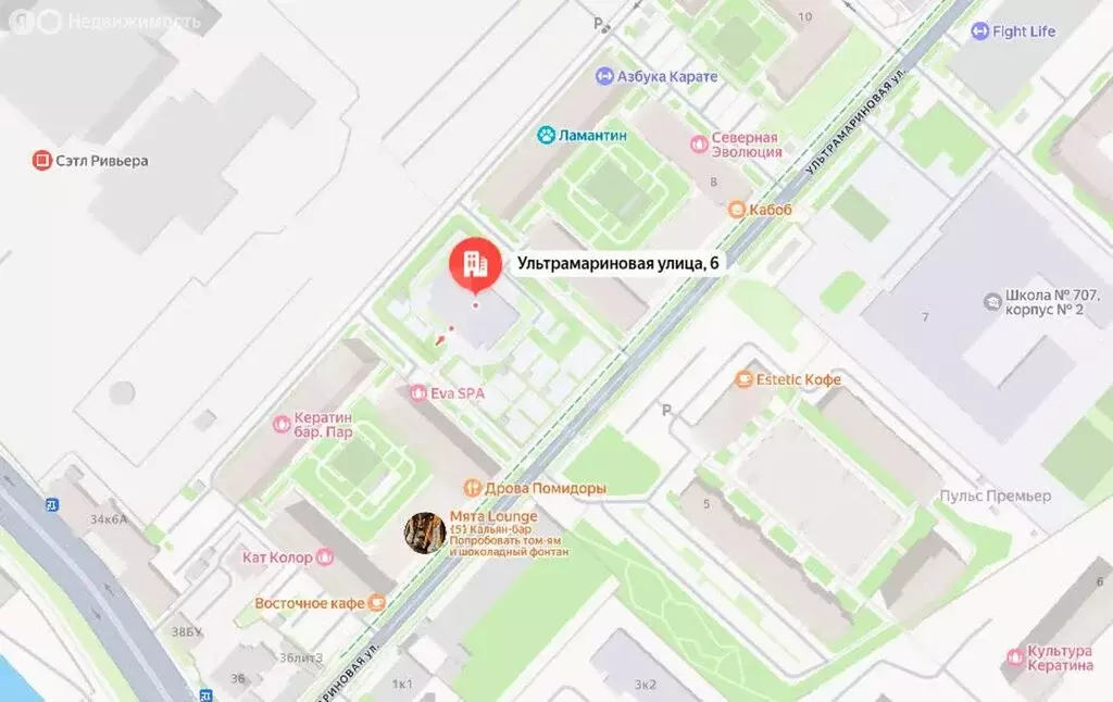 1-комнатная квартира: Санкт-Петербург, Ультрамариновая улица, 4 (43 м) - Фото 2