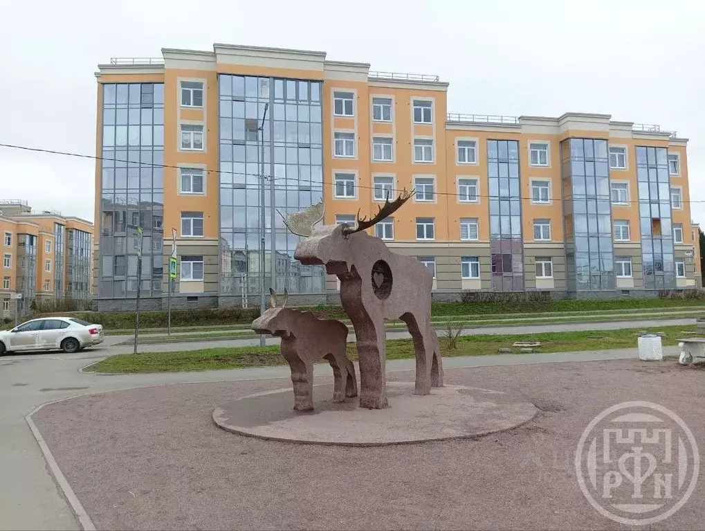 Студия Ленинградская область, Сертолово Всеволожский район, ... - Фото 1