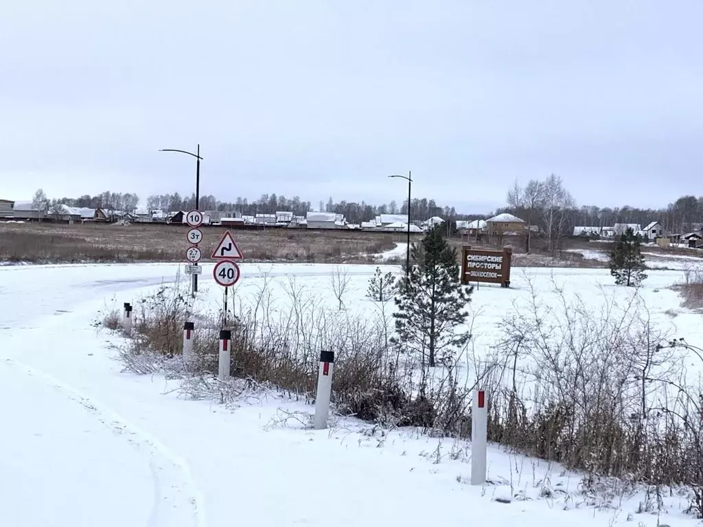 Участок в Новосибирская область, Новосибирский район, Сибирские ... - Фото 2
