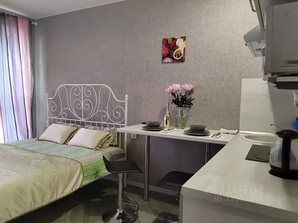 Студия Московская область, Балашиха просп. Ленина, 32д (28.0 м) - Фото 1