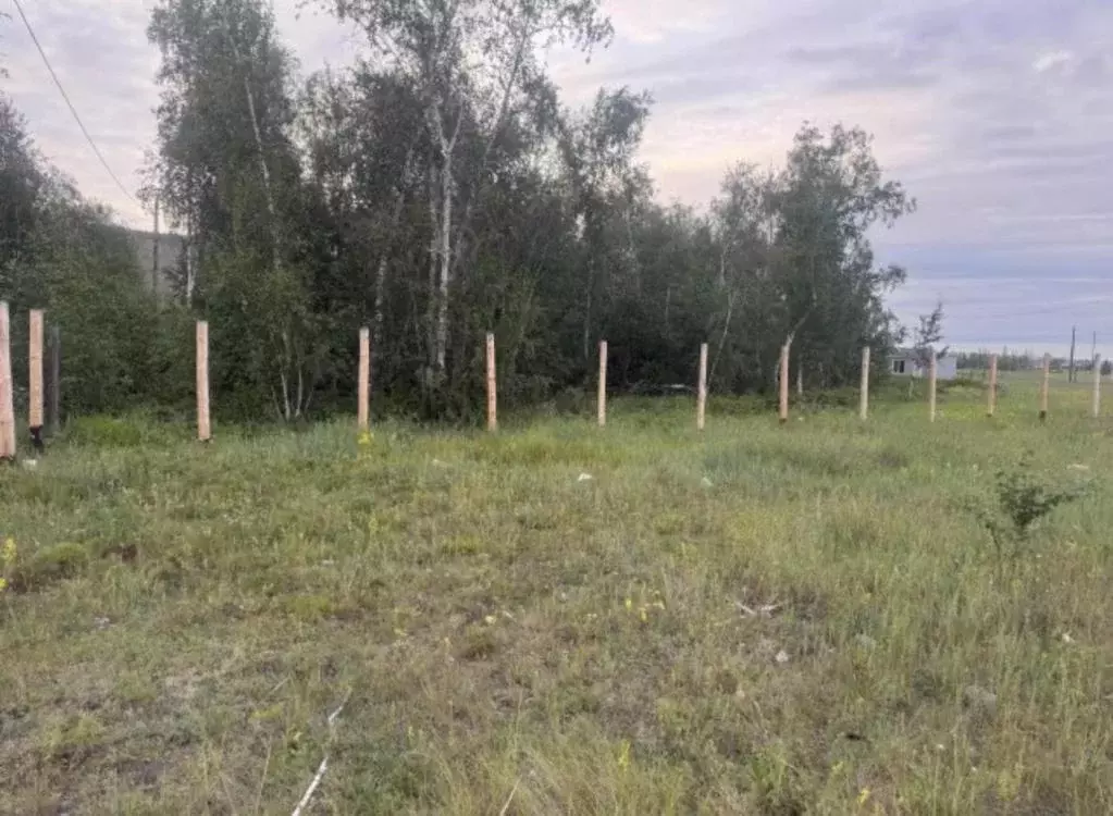 Участок, 10 сот., поселения (ижс) - Фото 1