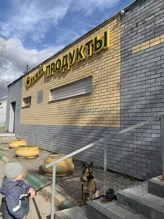 Торговая площадь в Нижегородская область, Нижний Новгород ул. ... - Фото 0