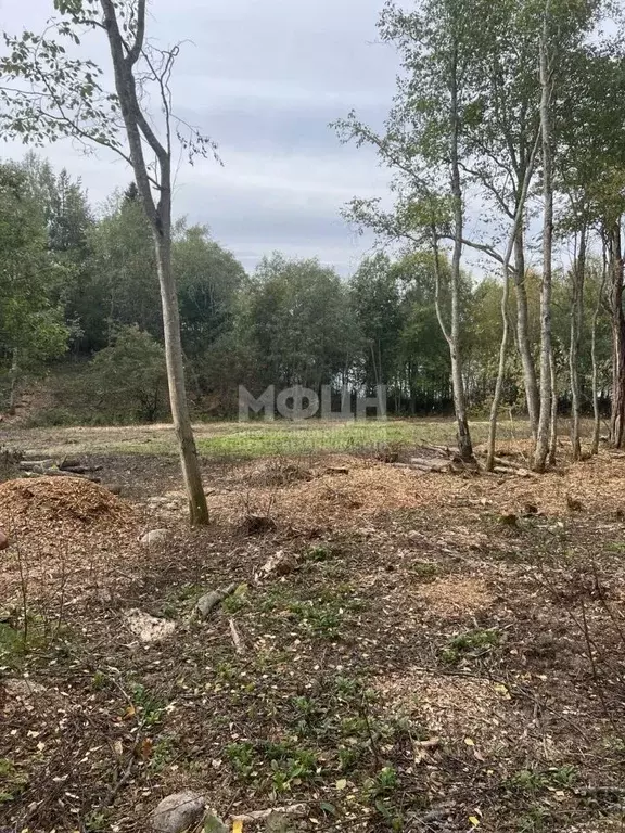 Участок в Карелия, Пряжинский район, с. Святозеро  (15.0 сот.) - Фото 1