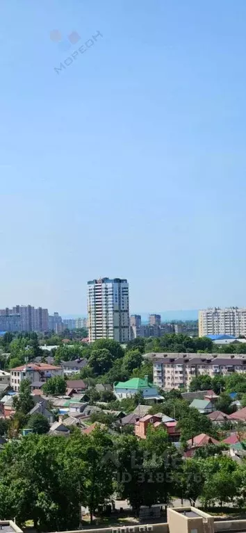 3-к кв. Краснодарский край, Краснодар Камвольно-суконный Комбинат мкр, ... - Фото 1