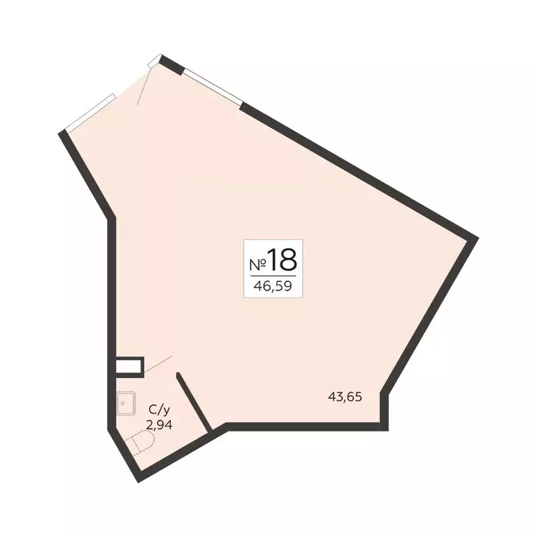 Помещение свободного назначения в Воронежская область, Воронеж ул. ... - Фото 1