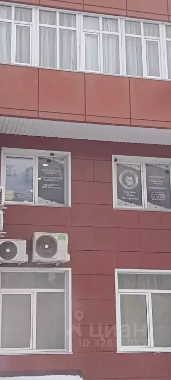 Офис в Алтайский край, Барнаул ул. Димитрова, 67А (67 м) - Фото 2