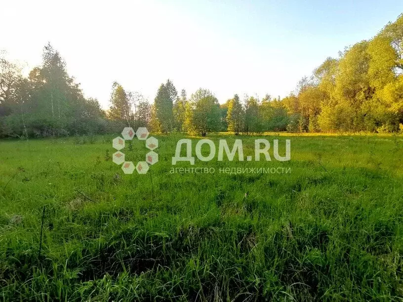 Участок в Московская область, городской округ Коломна, село Непецино ... - Фото 2
