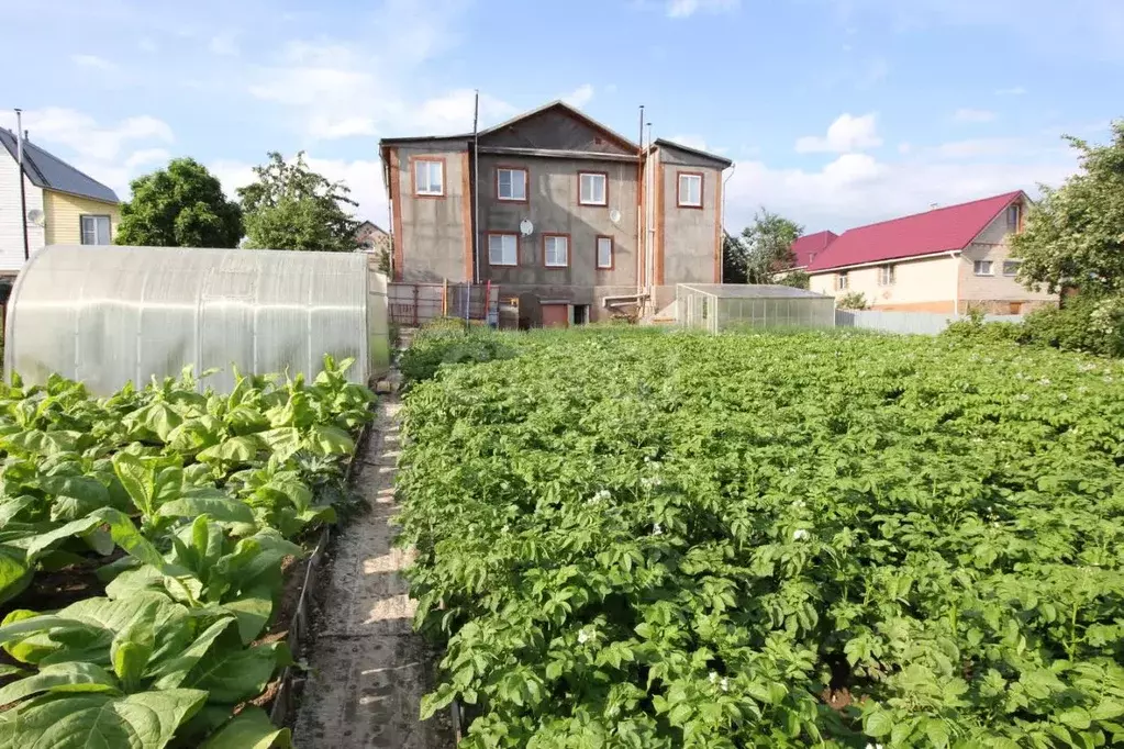 Дом в Вологодская область, Шексна рп, Шексна Южная мкр ул. Искра, 14 ... - Фото 1