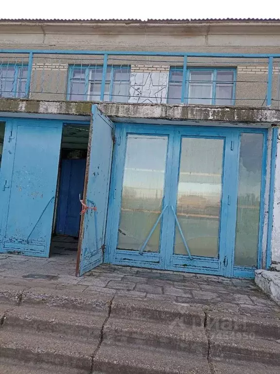 Помещение свободного назначения в Челябинская область, Нагайбакский ... - Фото 1