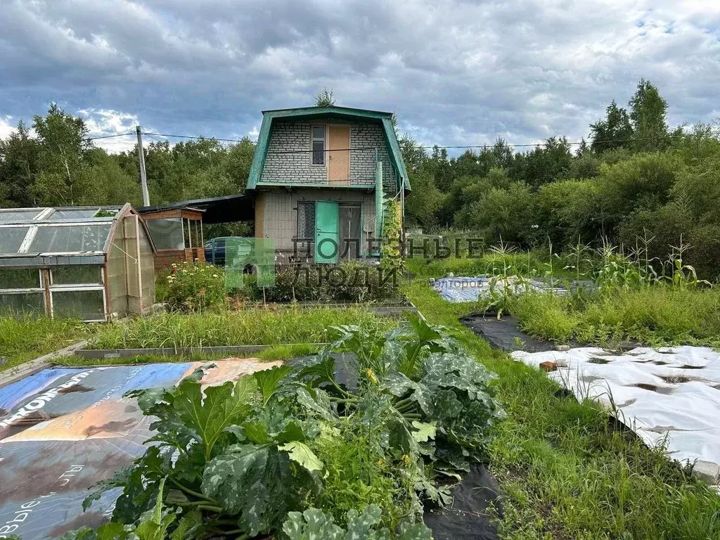 Дом в Хабаровский край, Хабаровский район, с. Черная Речка  (72 м) - Фото 1