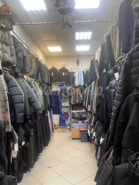 Торговая площадь в Кемеровская область, Березовский ул. Ленина, 14 (86 ... - Фото 2