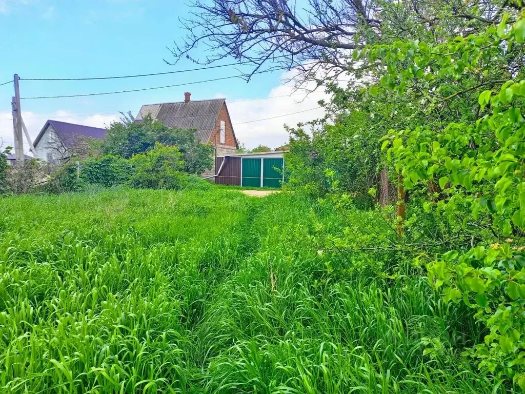 Участок в Краснодарский край, Темрюк Родник садовое товарищество, ул. ... - Фото 1