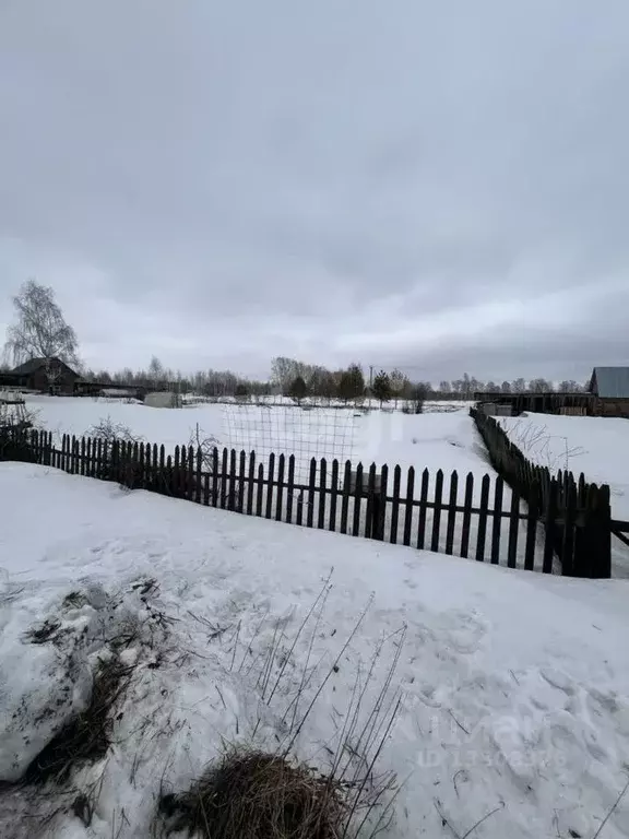 Участок в Новосибирская область, Новосибирский район, Станционный ... - Фото 1