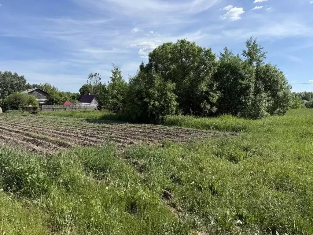 Участок в Московская область, Орехово-Зуевский городской округ, д. ... - Фото 1