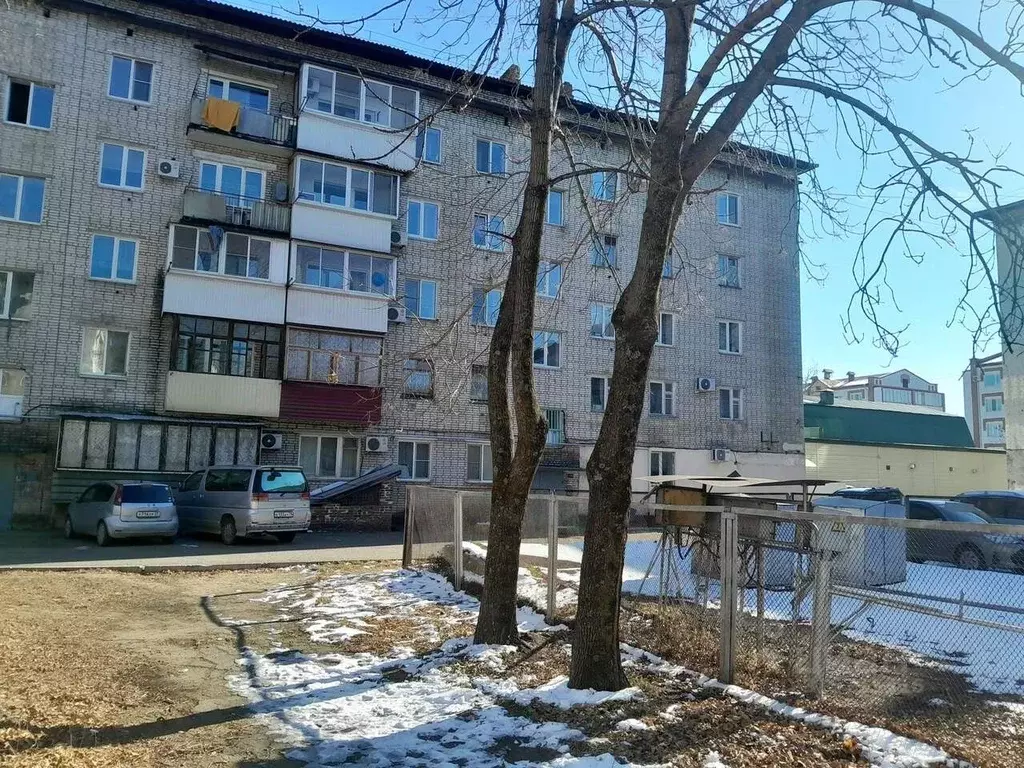 2-к кв. Еврейская автономная область, Биробиджан ул. Миллера, 15 (44.2 ... - Фото 1