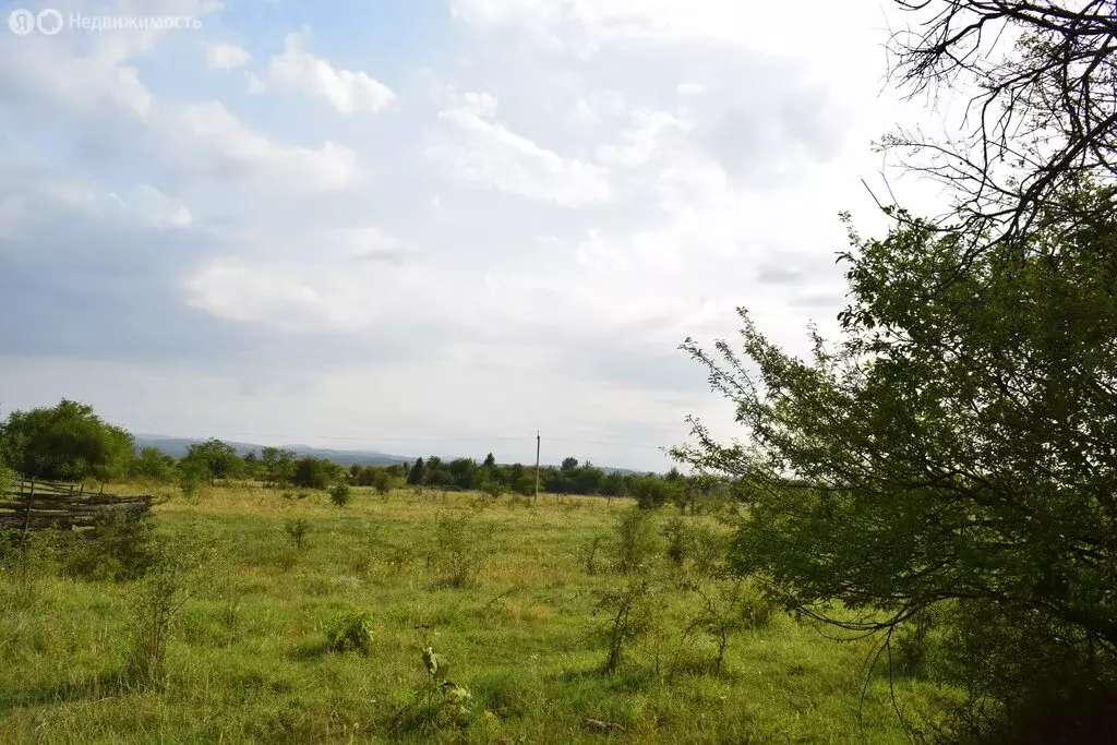 Участок в Переправненское сельское поселение, хутор Центральный, ... - Фото 2