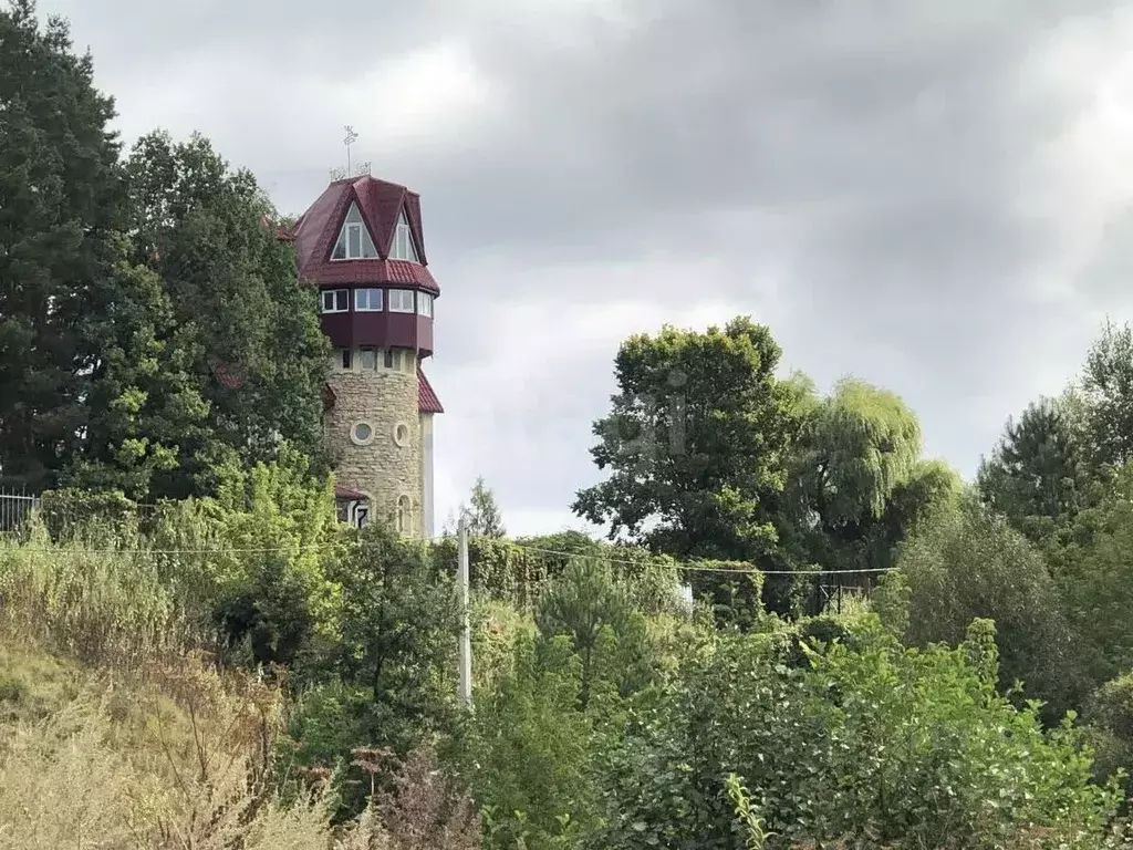 Дом в Тамбовская область, Тамбовский муниципальный округ, с. Большая ... - Фото 1