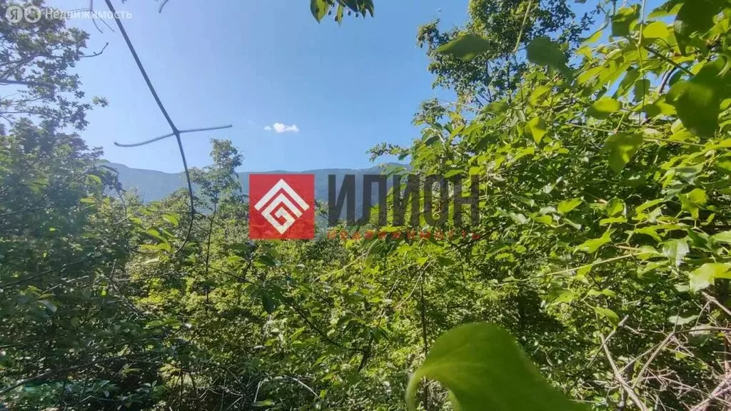 Участок в Массандра, Стахановская улица (8.7 м) - Фото 1