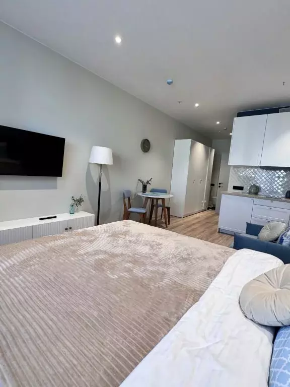 1-к кв. Санкт-Петербург просп. Энергетиков, 8к2 (30.0 м) - Фото 2