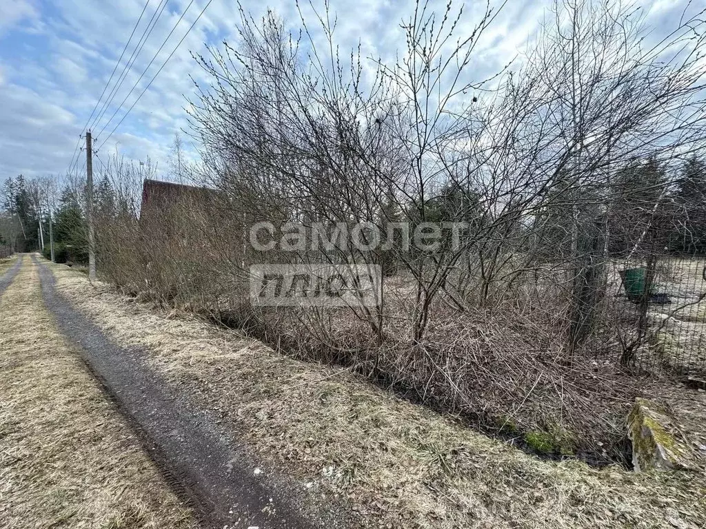 Участок в Московская область, Можайский муниципальный округ, Рябина ... - Фото 1