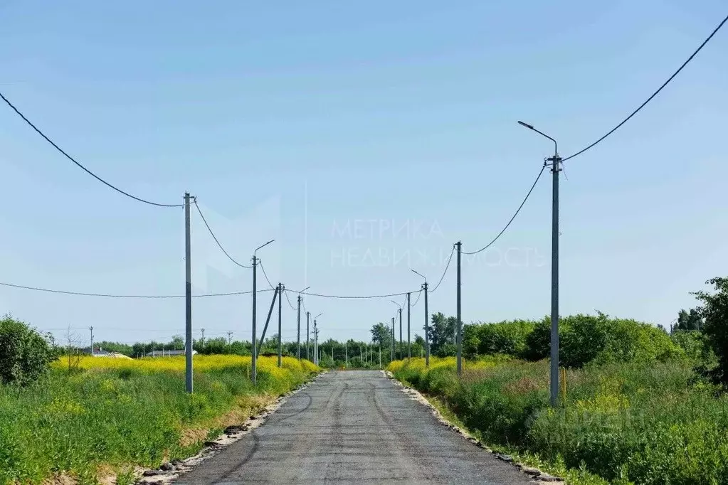 Участок в Тюменская область, Тюмень Большое Царево-1 СНТ, ул. Садовая ... - Фото 2