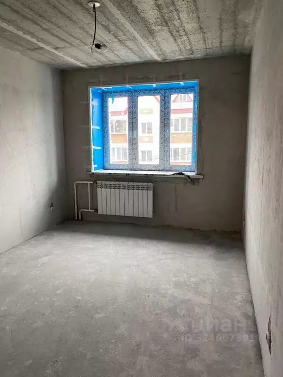 1-к кв. Амурская область, Благовещенский район, с. Чигири ул. ... - Фото 2