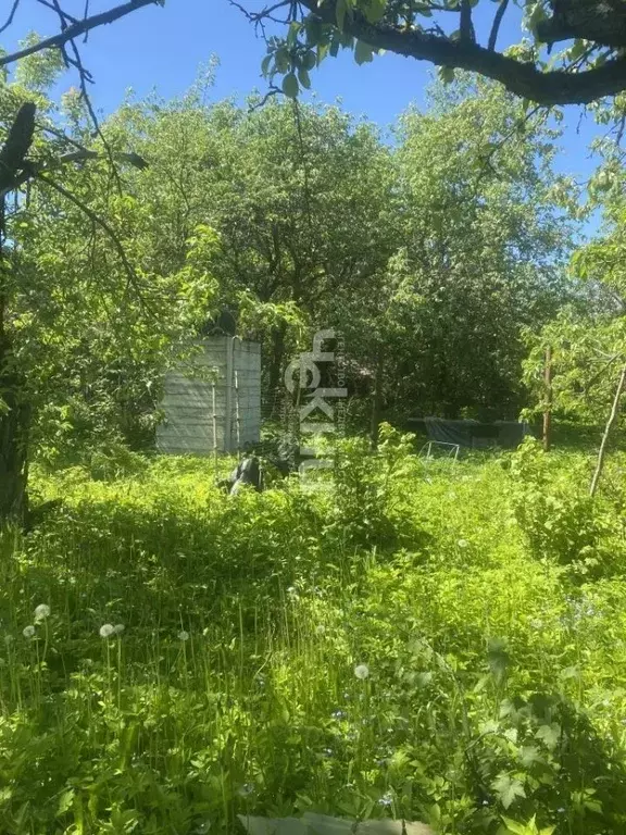 Участок в Нижегородская область, Нижний Новгород Заветы Мичурина Сад № ... - Фото 1