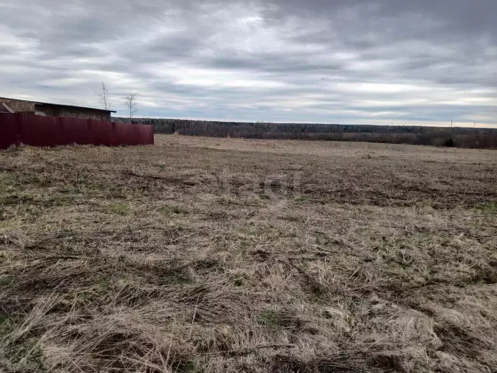 Участок в Вологодская область, д. Токарево (Спасский сельсовет) пер. ... - Фото 2