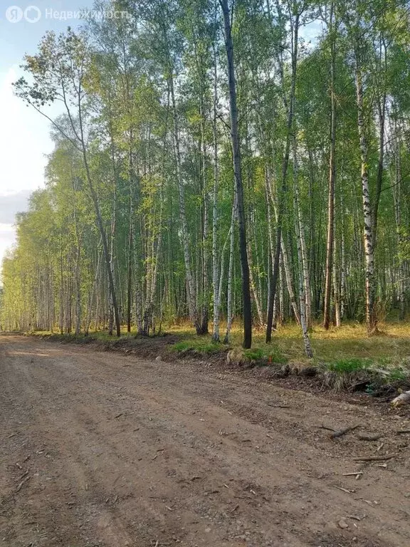 Участок в Молодёжное муниципальное образование, посёлок Новая ... - Фото 1