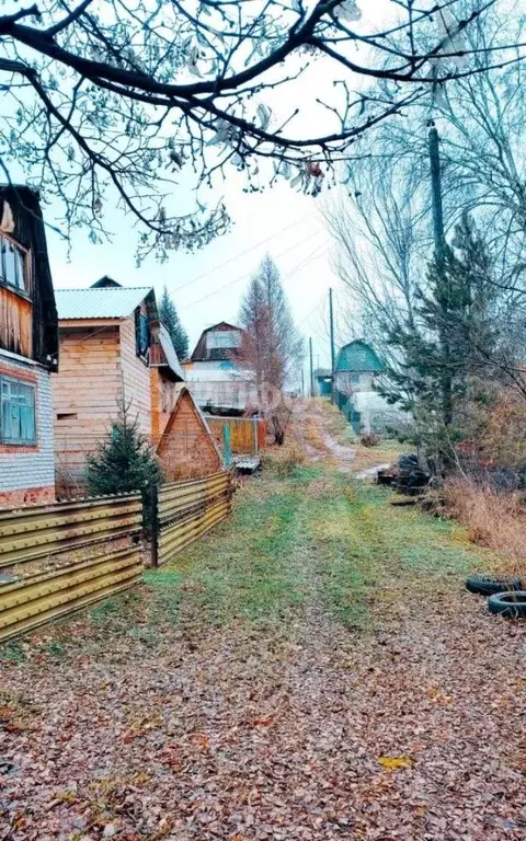 Дом в Новосибирская область, Бердск Родник 2 СНТ,  (20 м) - Фото 1