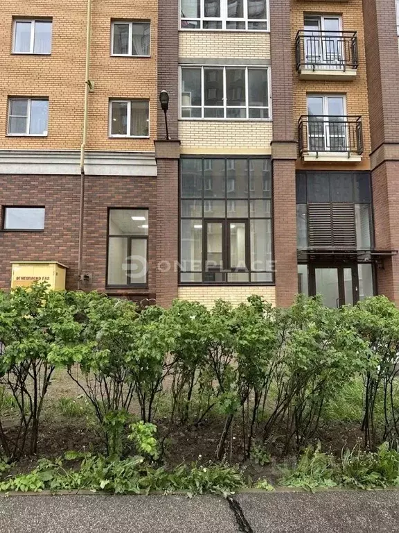 Помещение свободного назначения в Ленинградская область, Кудрово г. ... - Фото 1