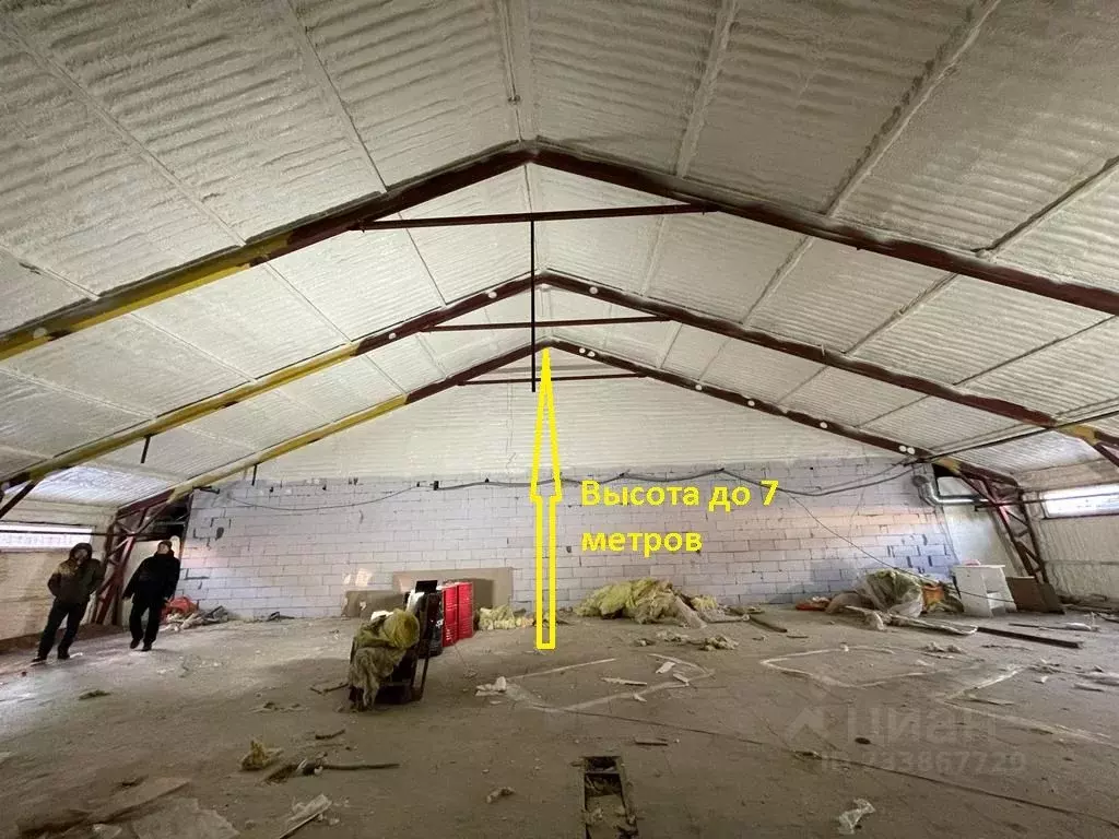 Помещение свободного назначения в Новгородская область, Великий ... - Фото 1