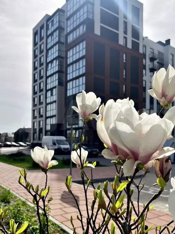 3-к. квартира, 82,6 м, 4/9 эт. - Фото 0