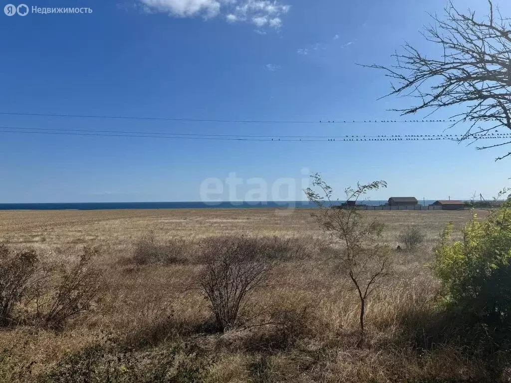 Участок в село Оленевка, территория Таврида (8 м) - Фото 1