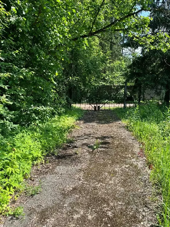 Продается участок в пос. Трудовая - Фото 1