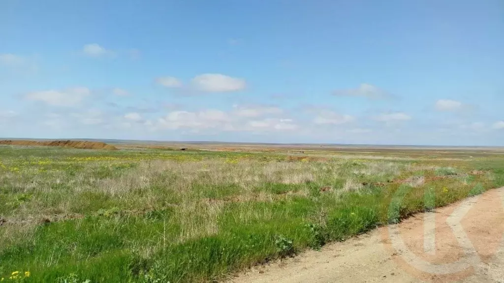 Участок в Крым, Сакский район, с. Митяево  (470.0 сот.) - Фото 2